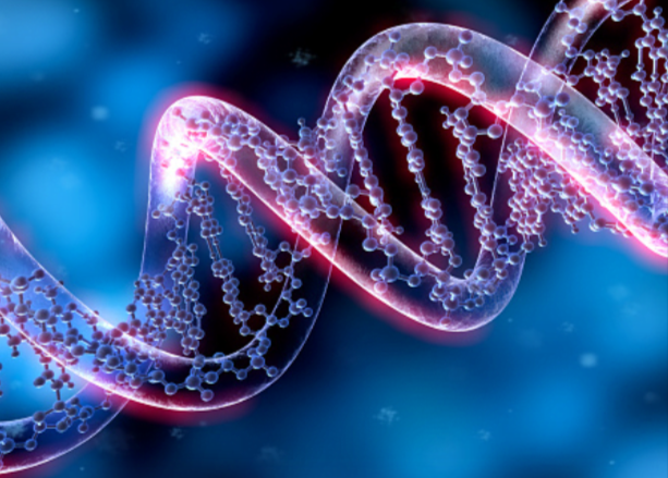 12/24/36/ SARMALLI DNA AKTİVASYONU